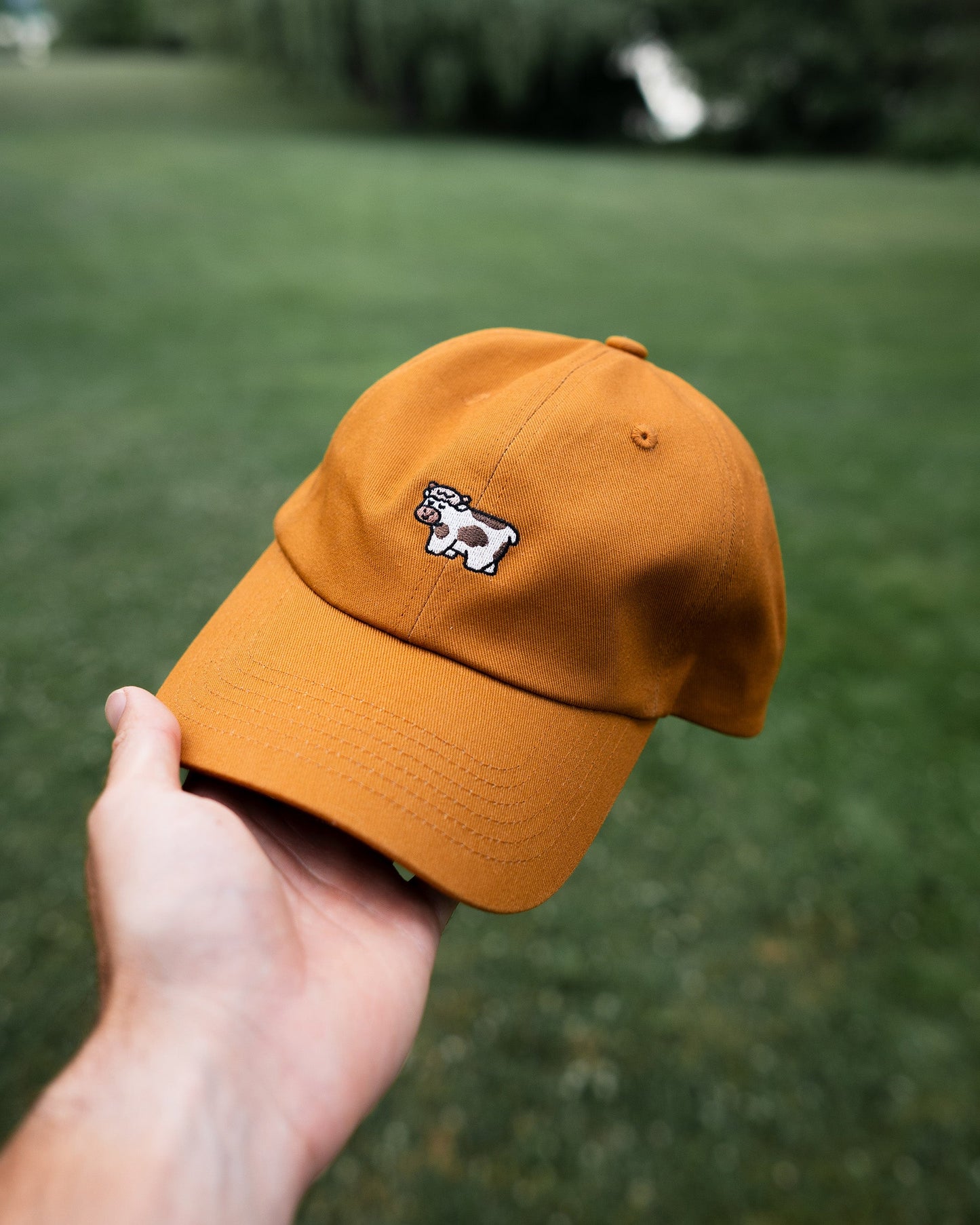 Cow Hat