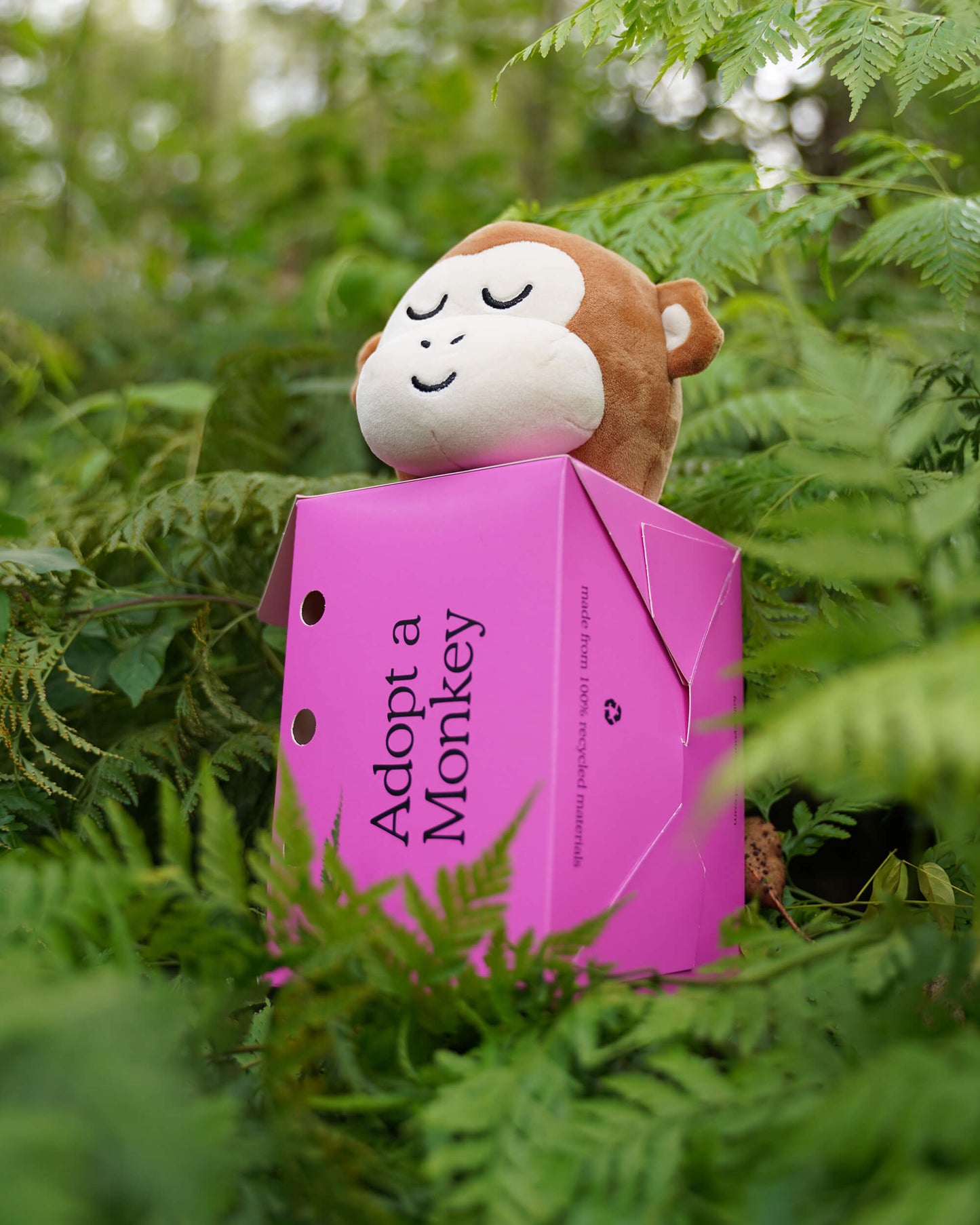 Monkey Plushie