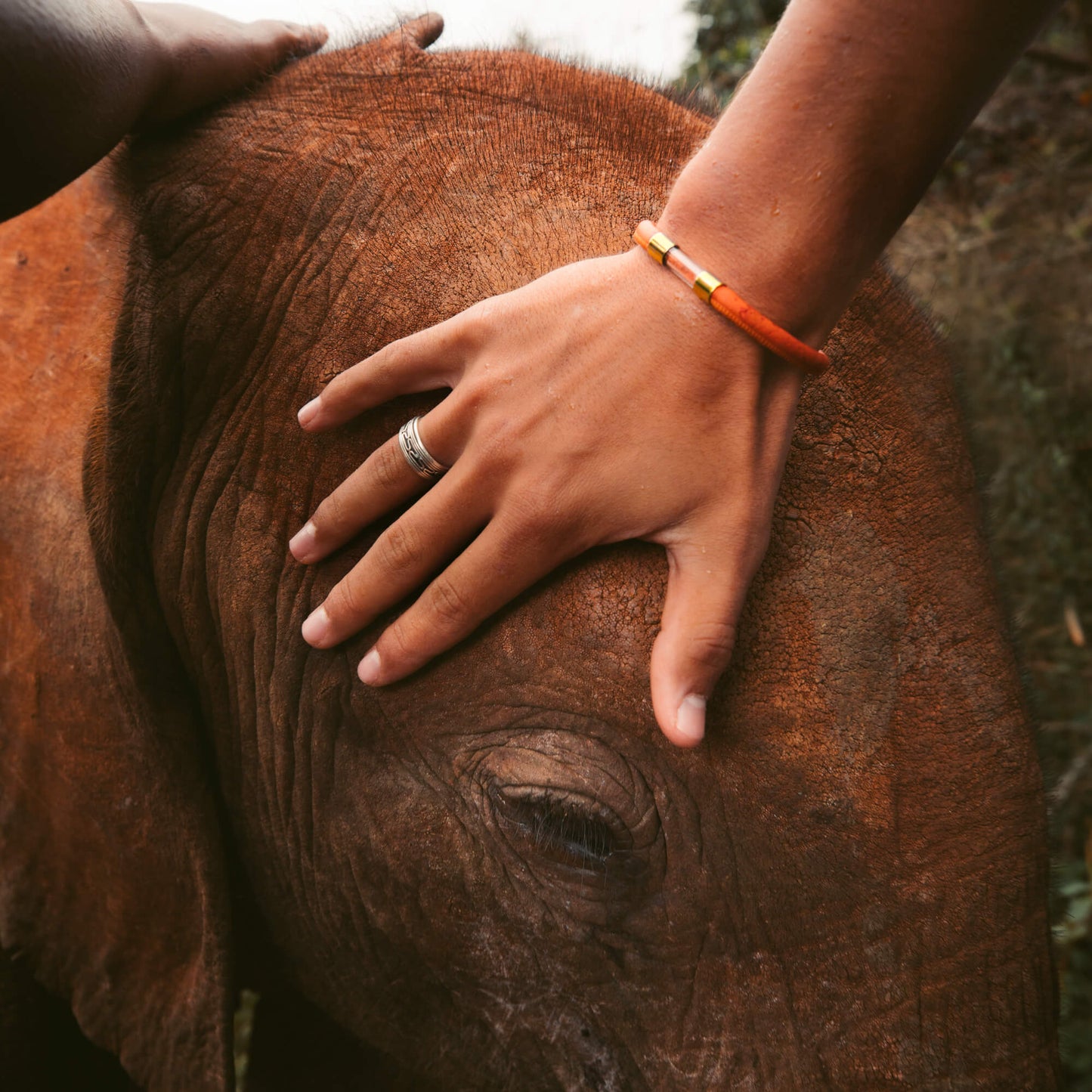 Elephant Legend Bracelet