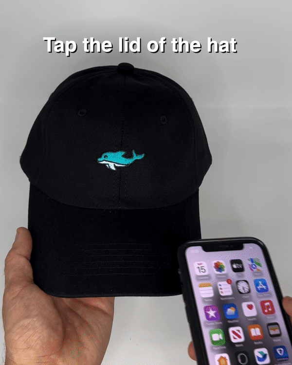 Dolphin Hat