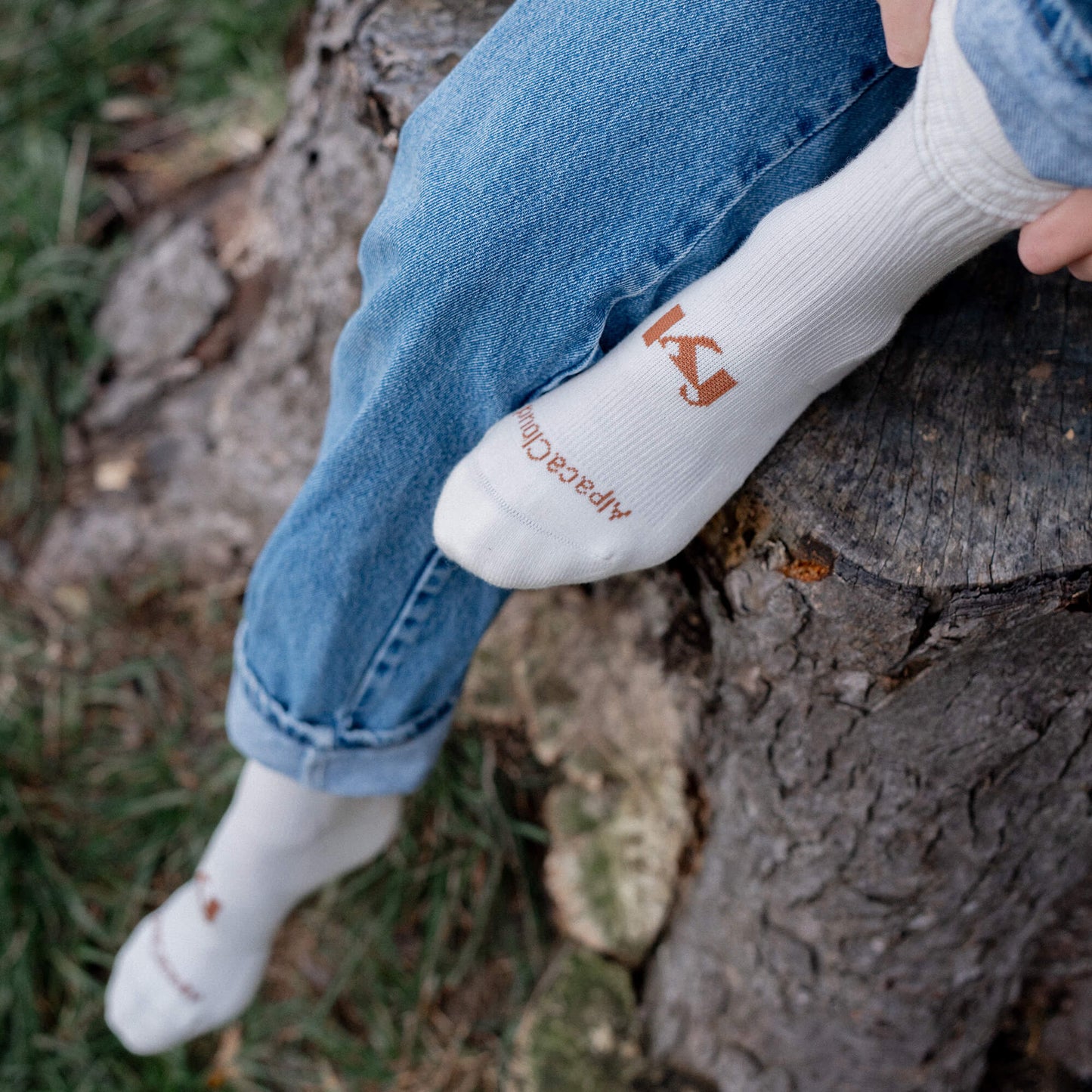 AlpacaCloud® Crew Sock 6 Pack