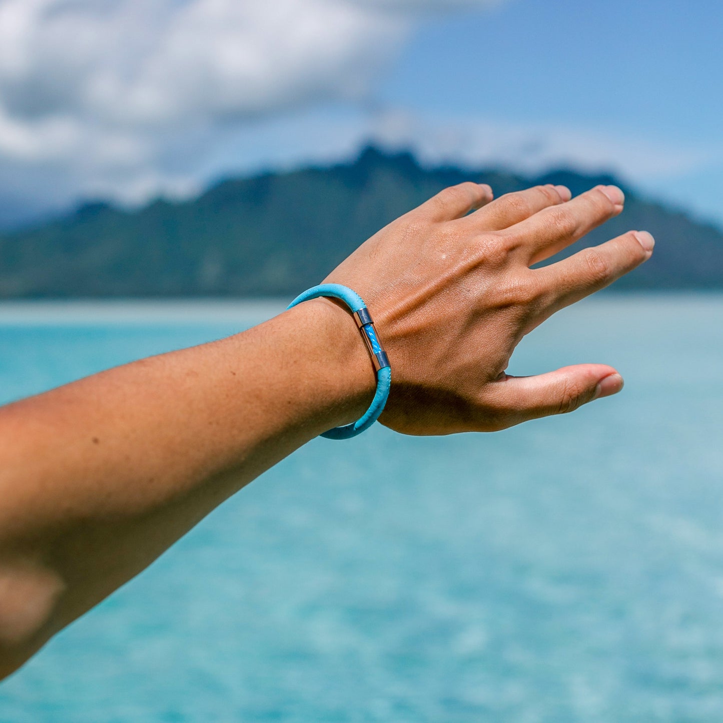 Dolphin Legend Bracelet