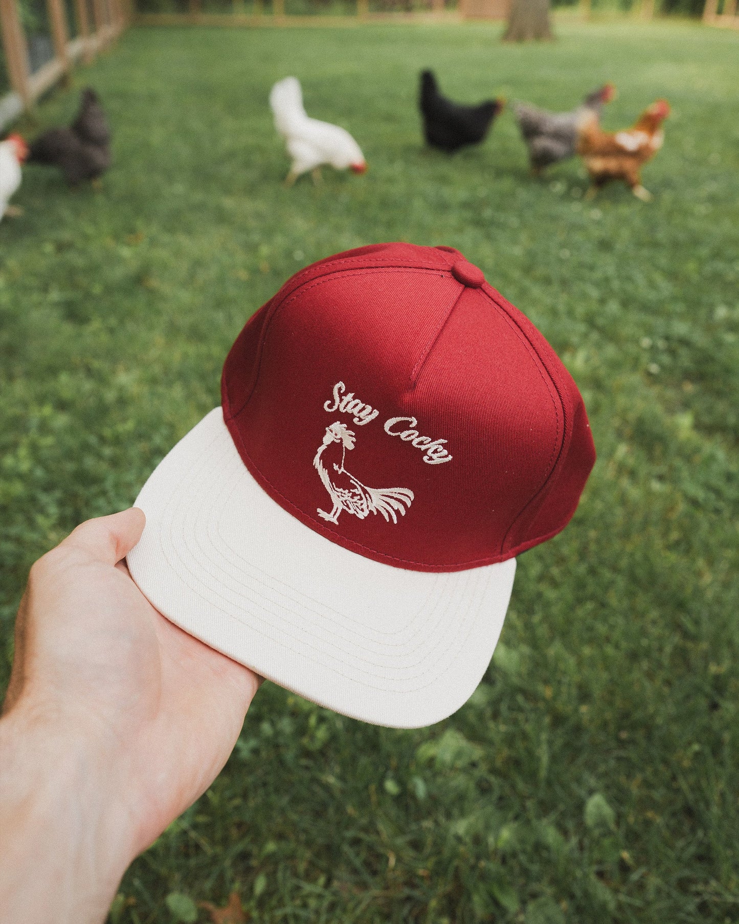 Stay Cocky Hat