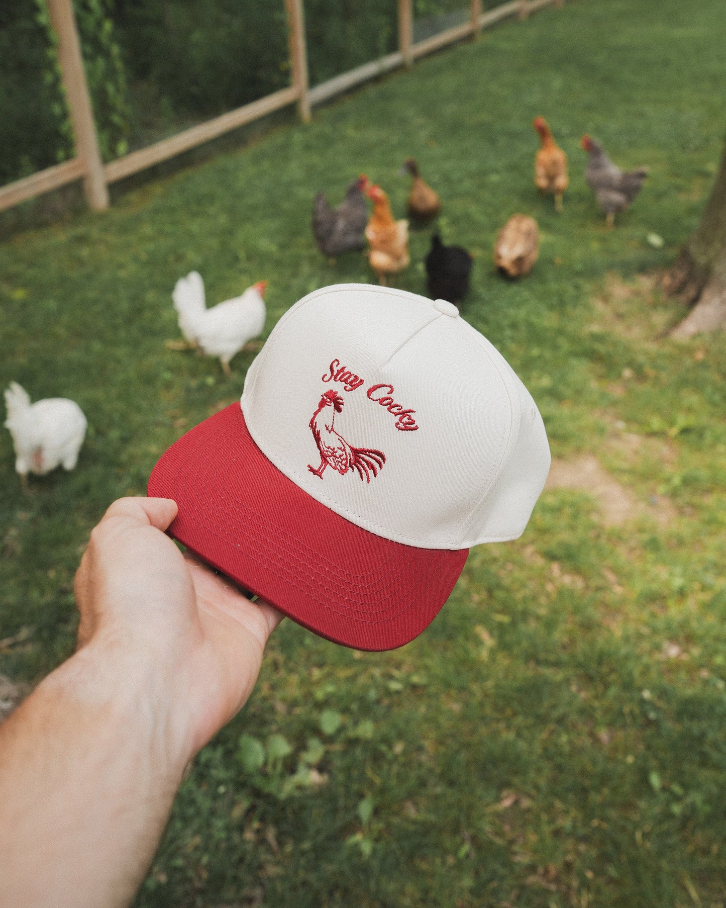 Stay Cocky Hat