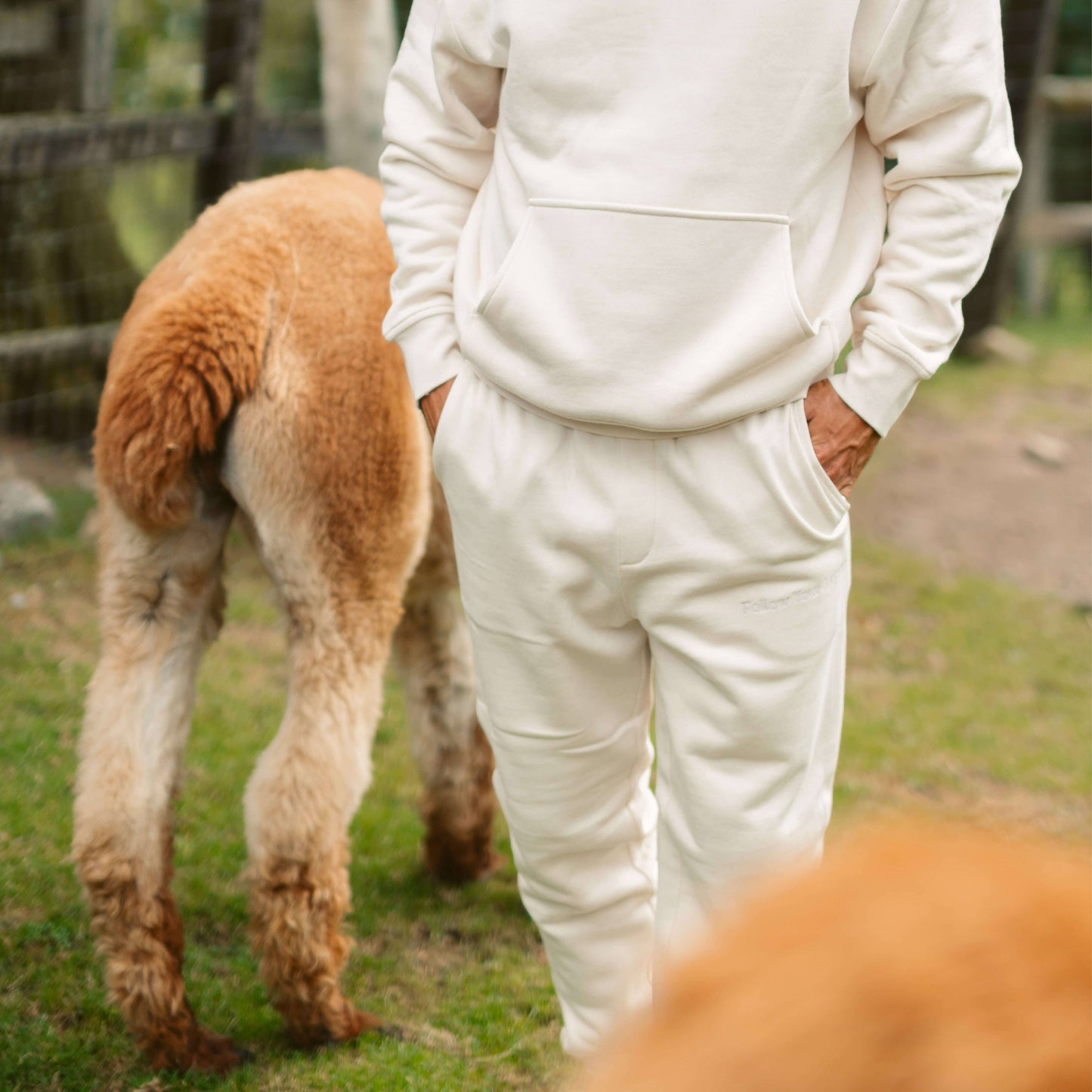 Men's AlpacaCloud® Joggers