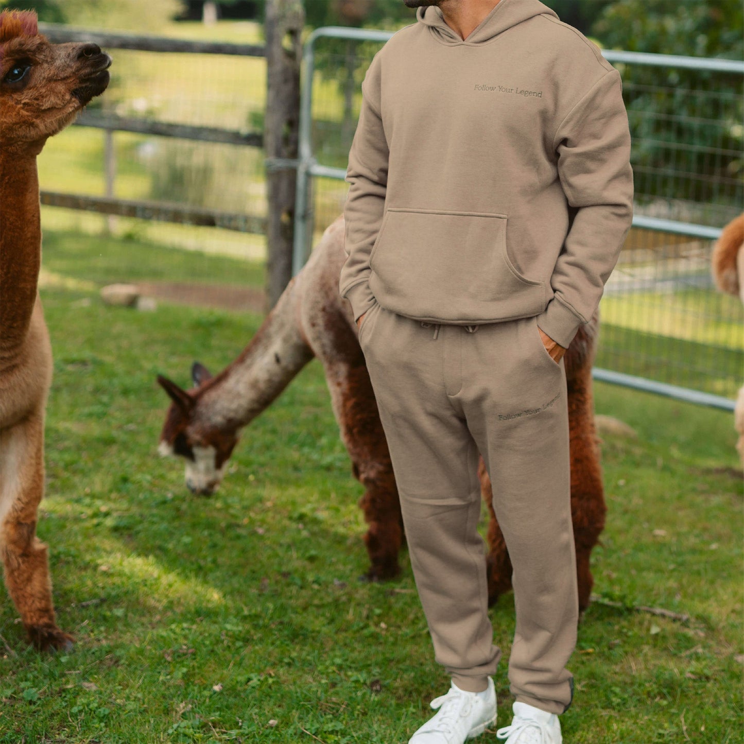 Men's AlpacaCloud® Joggers