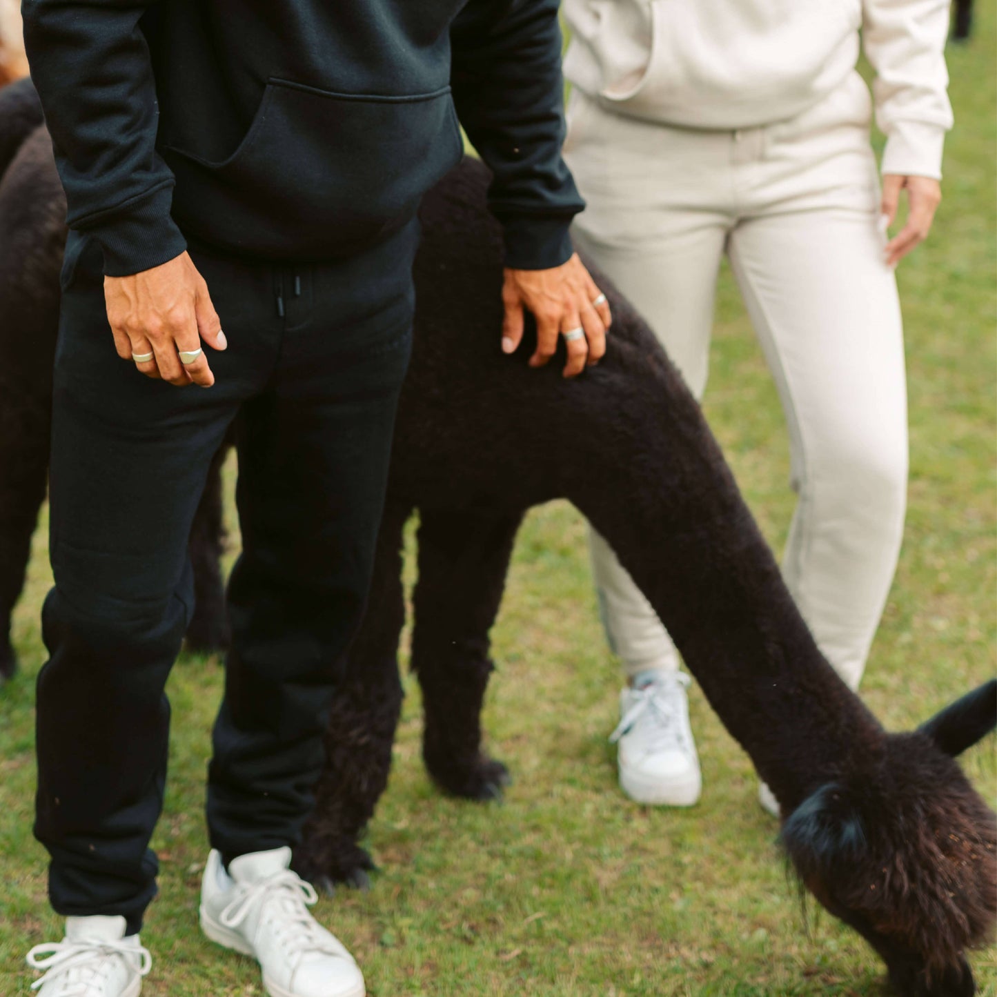 Men's AlpacaCloud® Joggers