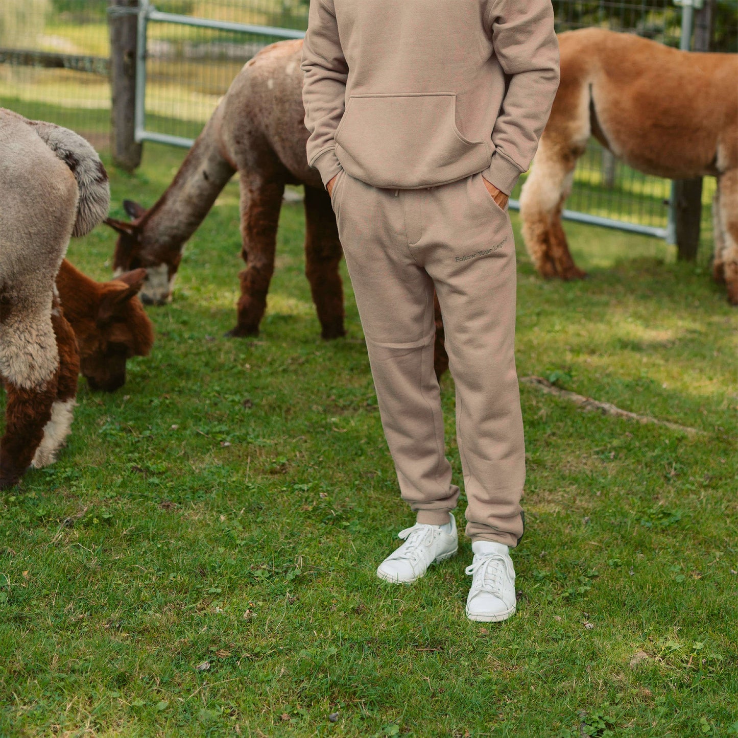 Men's AlpacaCloud® Joggers
