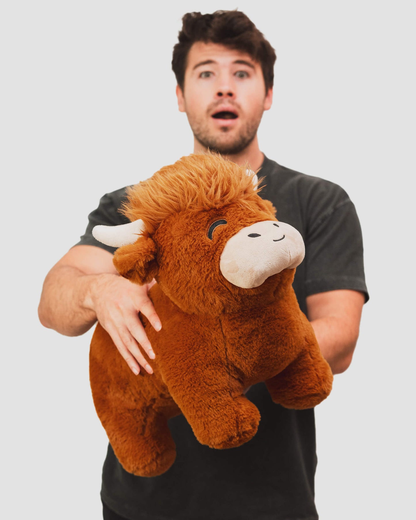 Jumbo Highland Cow Plushie