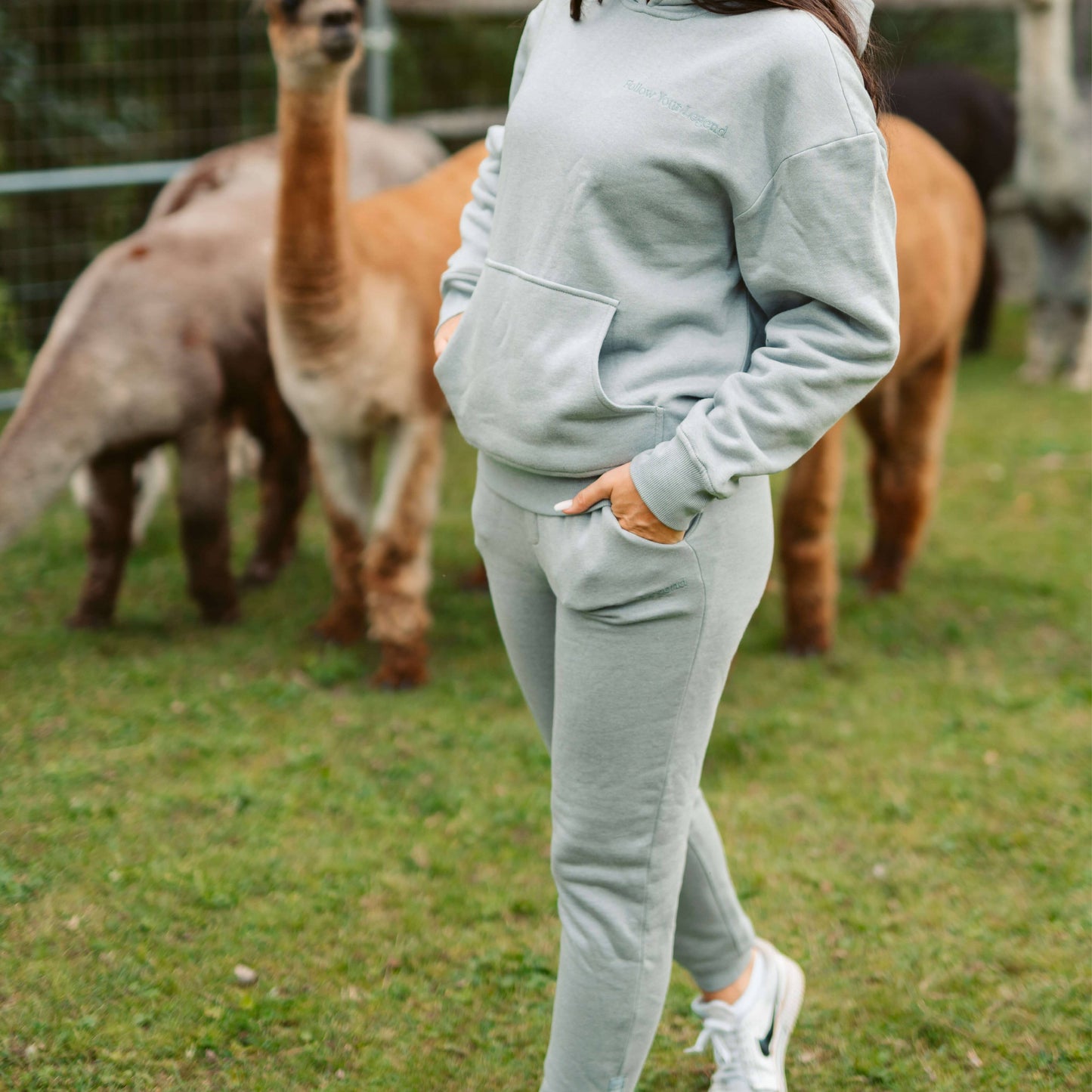 Women's AlpacaCloud® Joggers