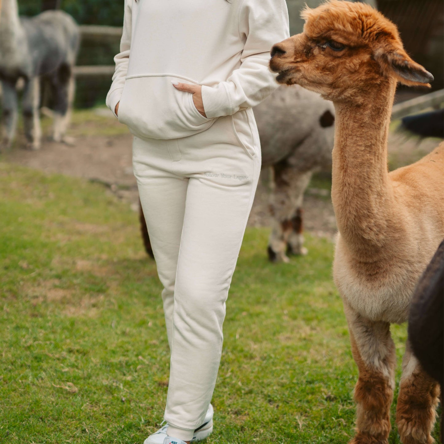 Women's AlpacaCloud® Joggers