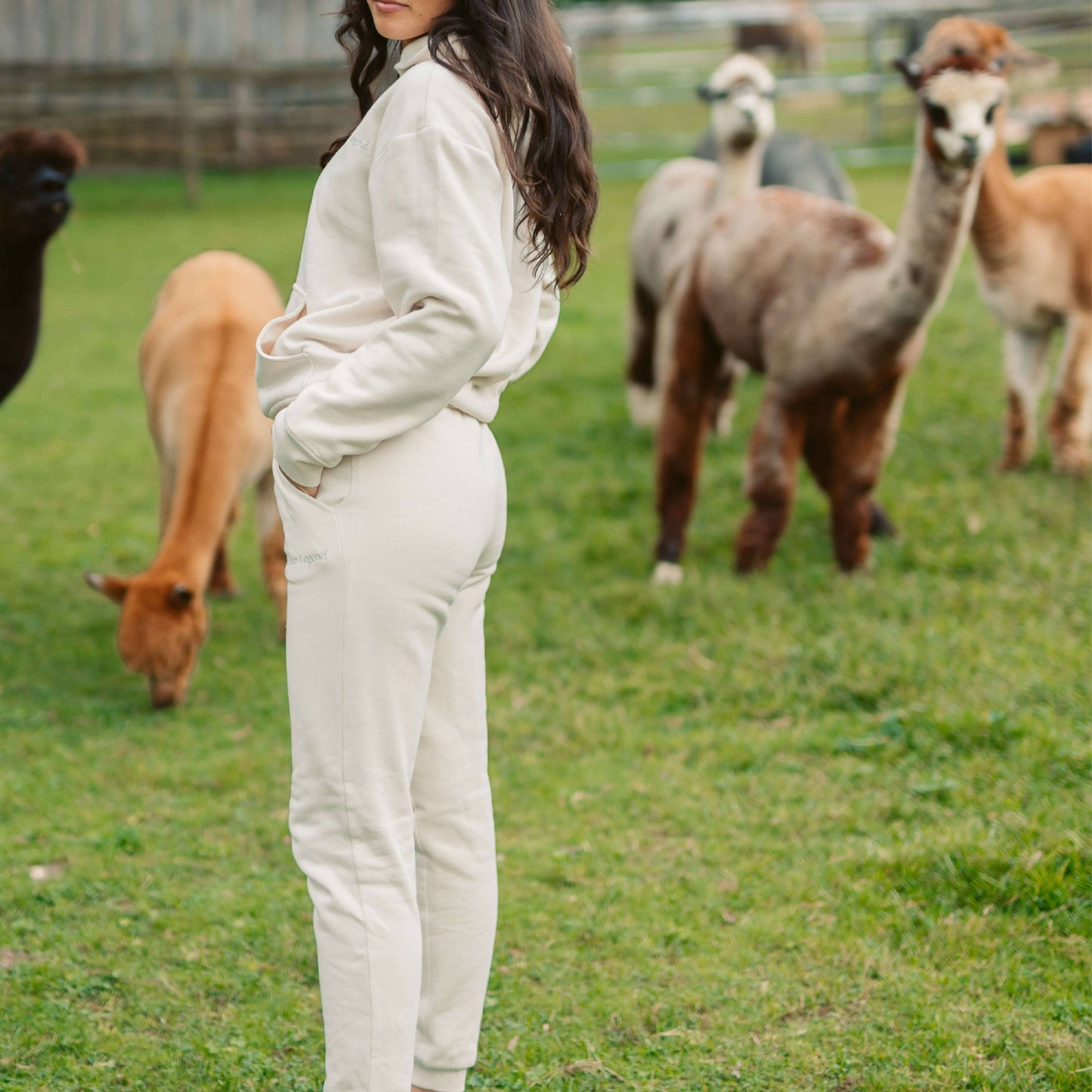 Women's AlpacaCloud® Joggers