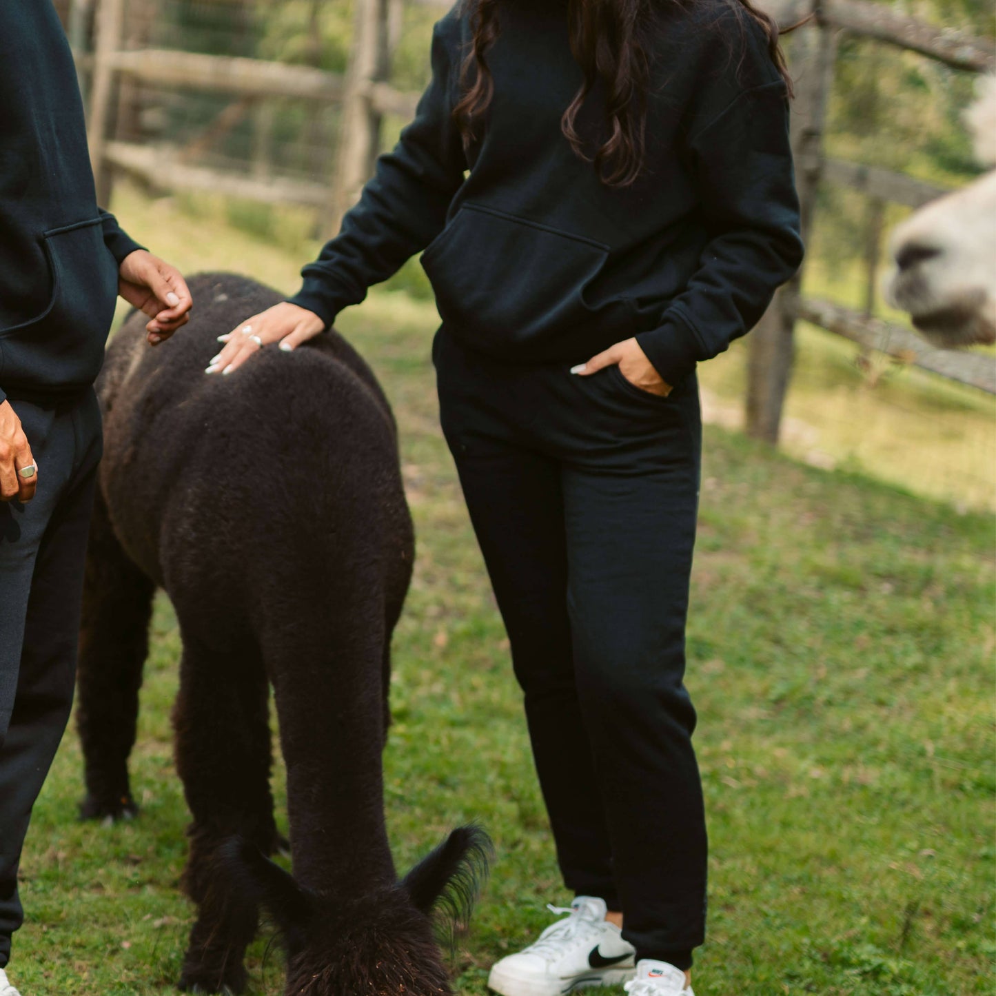 Women's AlpacaCloud® Joggers