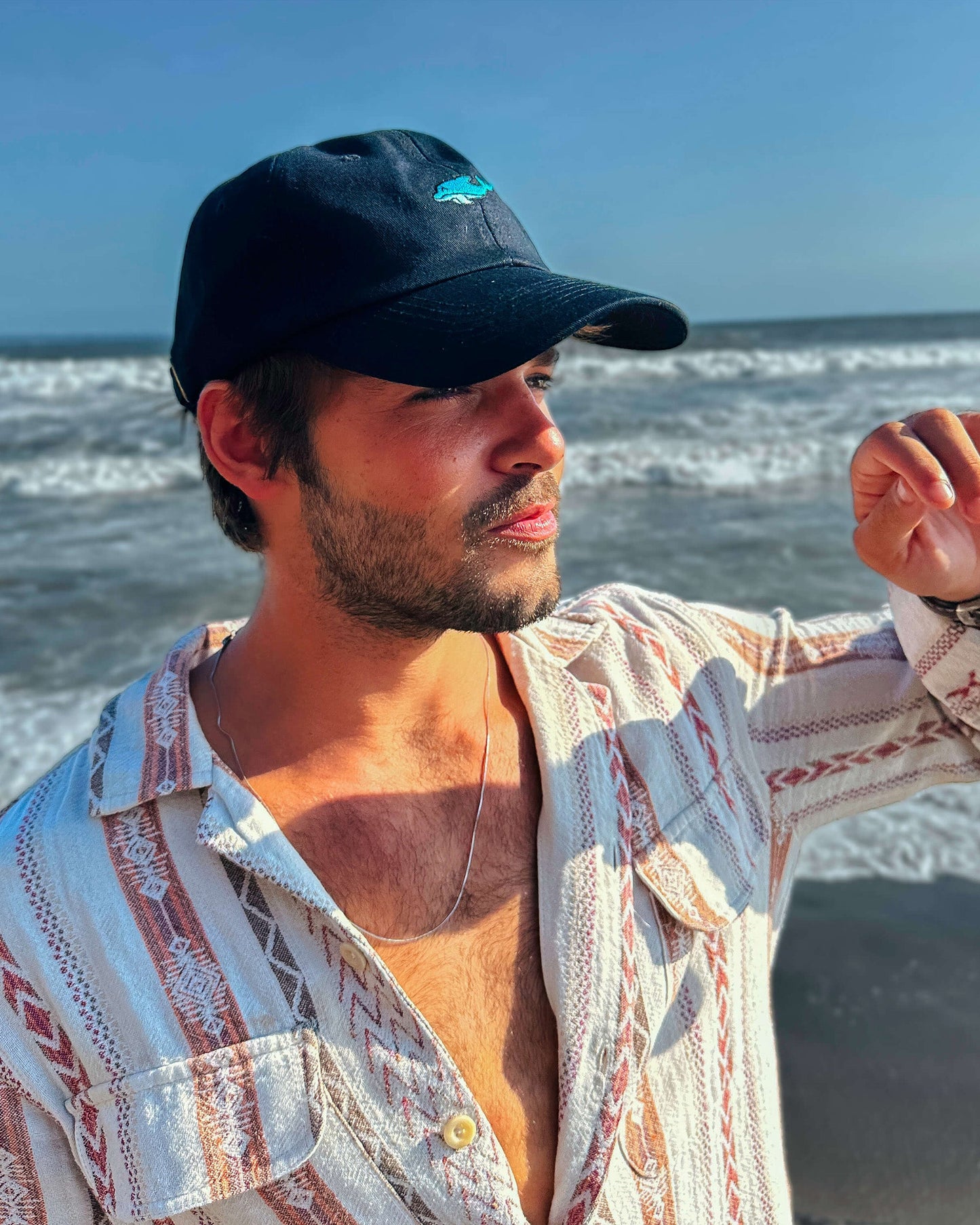 Dolphin Hat