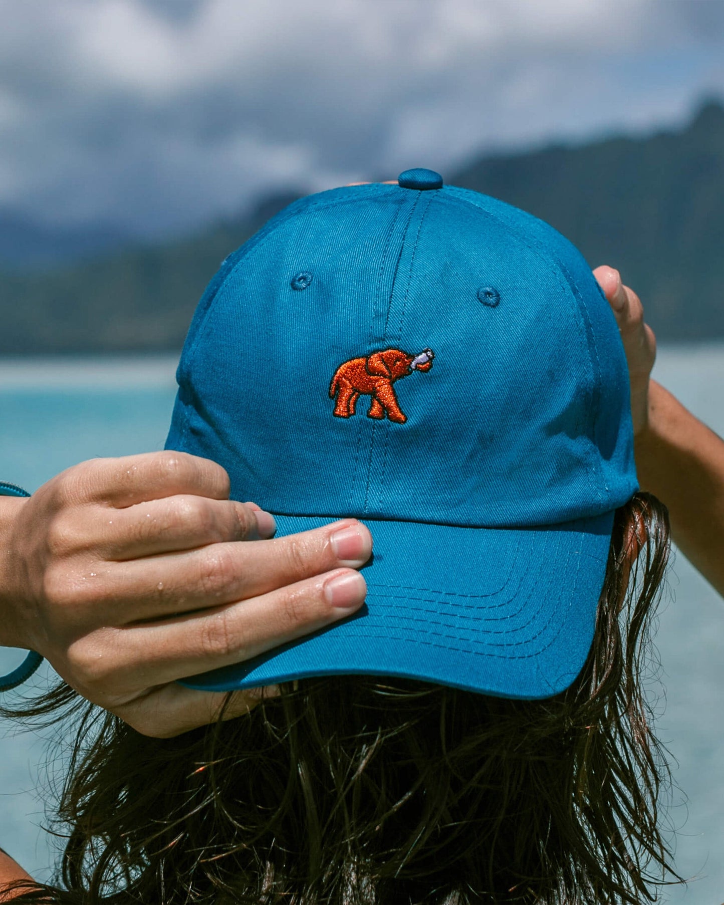 Elephant Hat