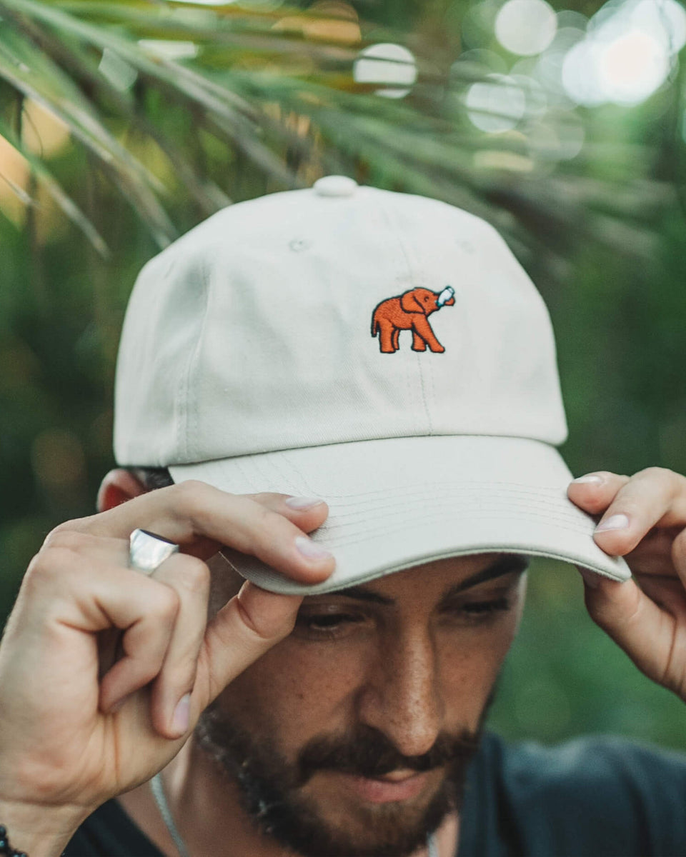 Elephant Hat