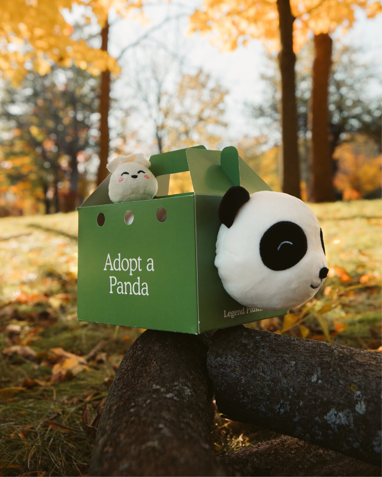 Panda Plushie