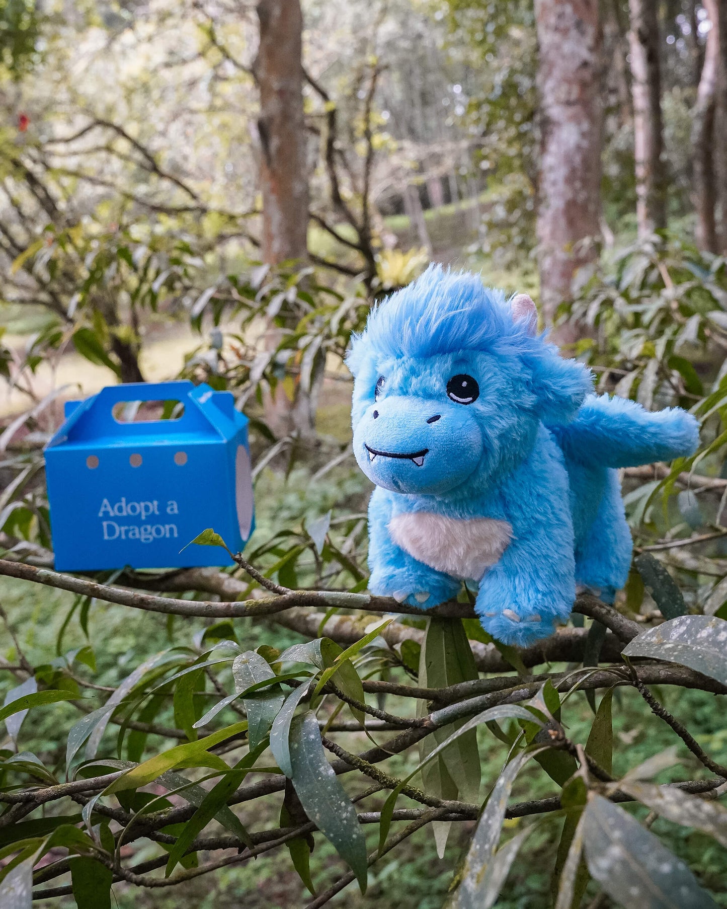 Dragon Plushie