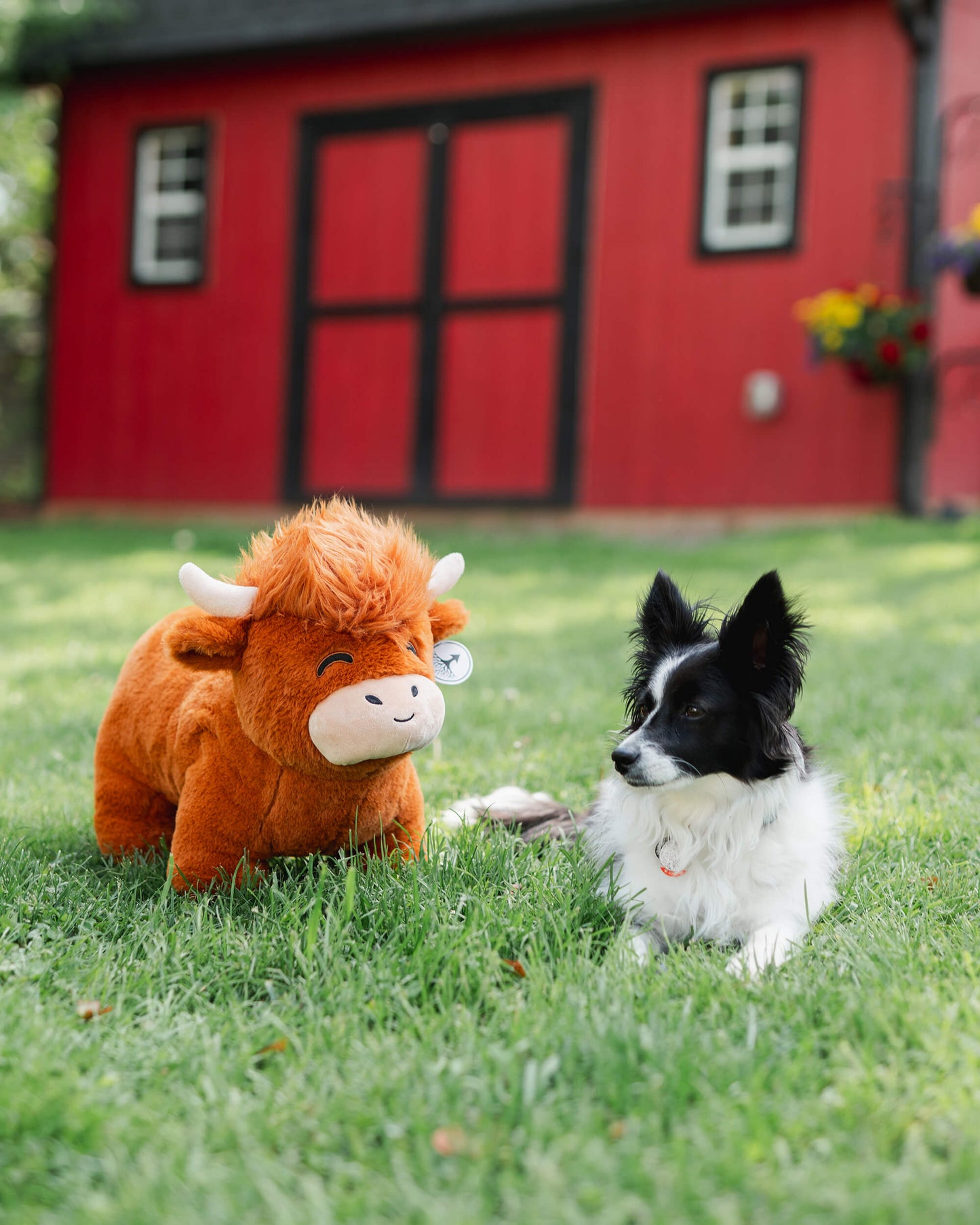 Jumbo Highland Cow Plushie