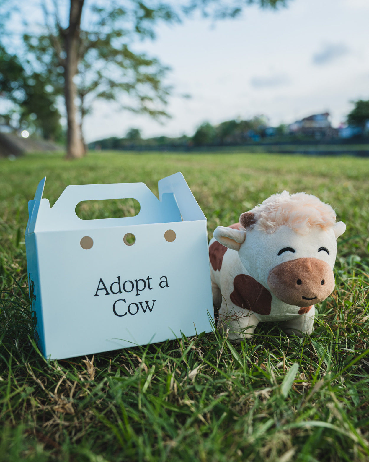 Cow Plushie