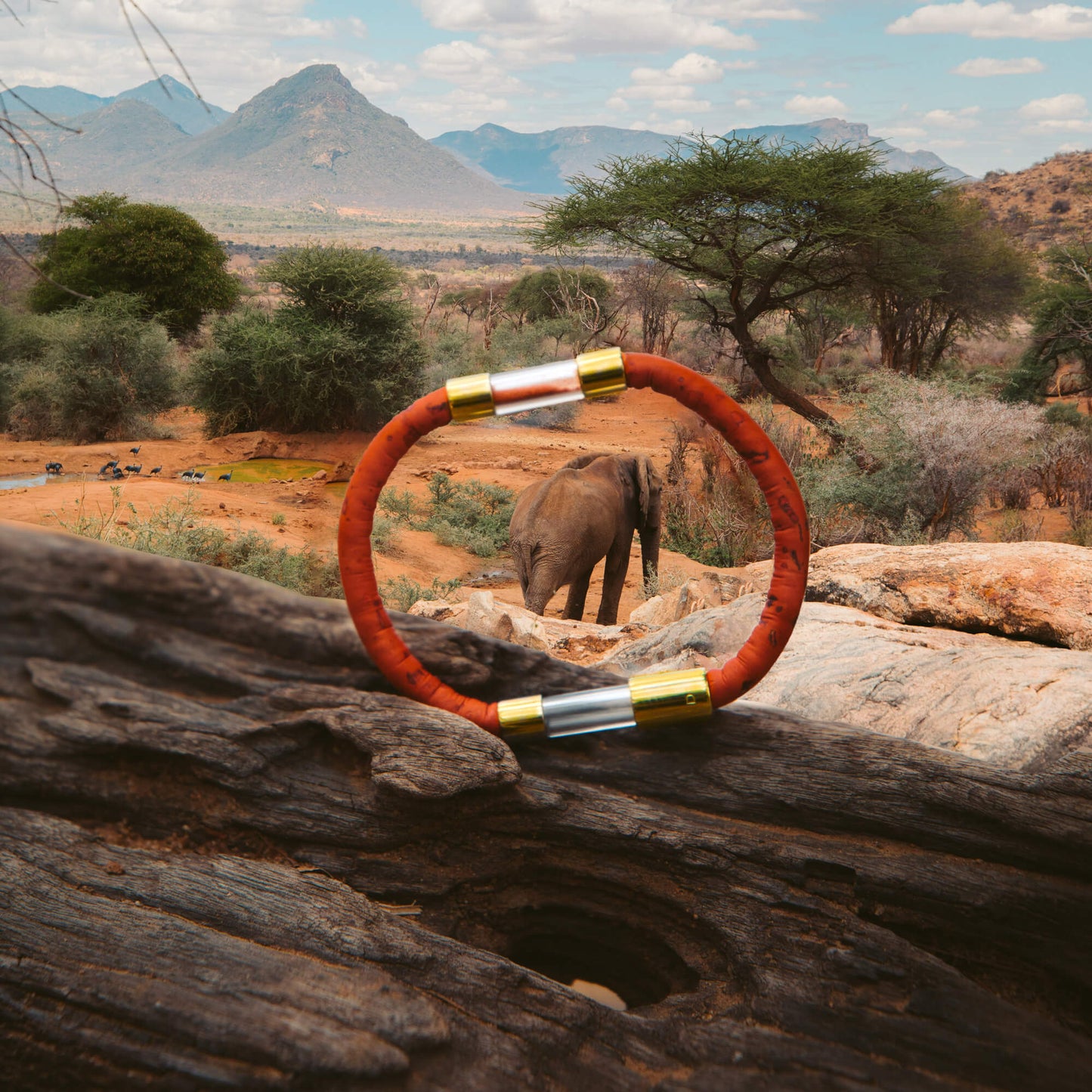 Elephant Legend Bracelet