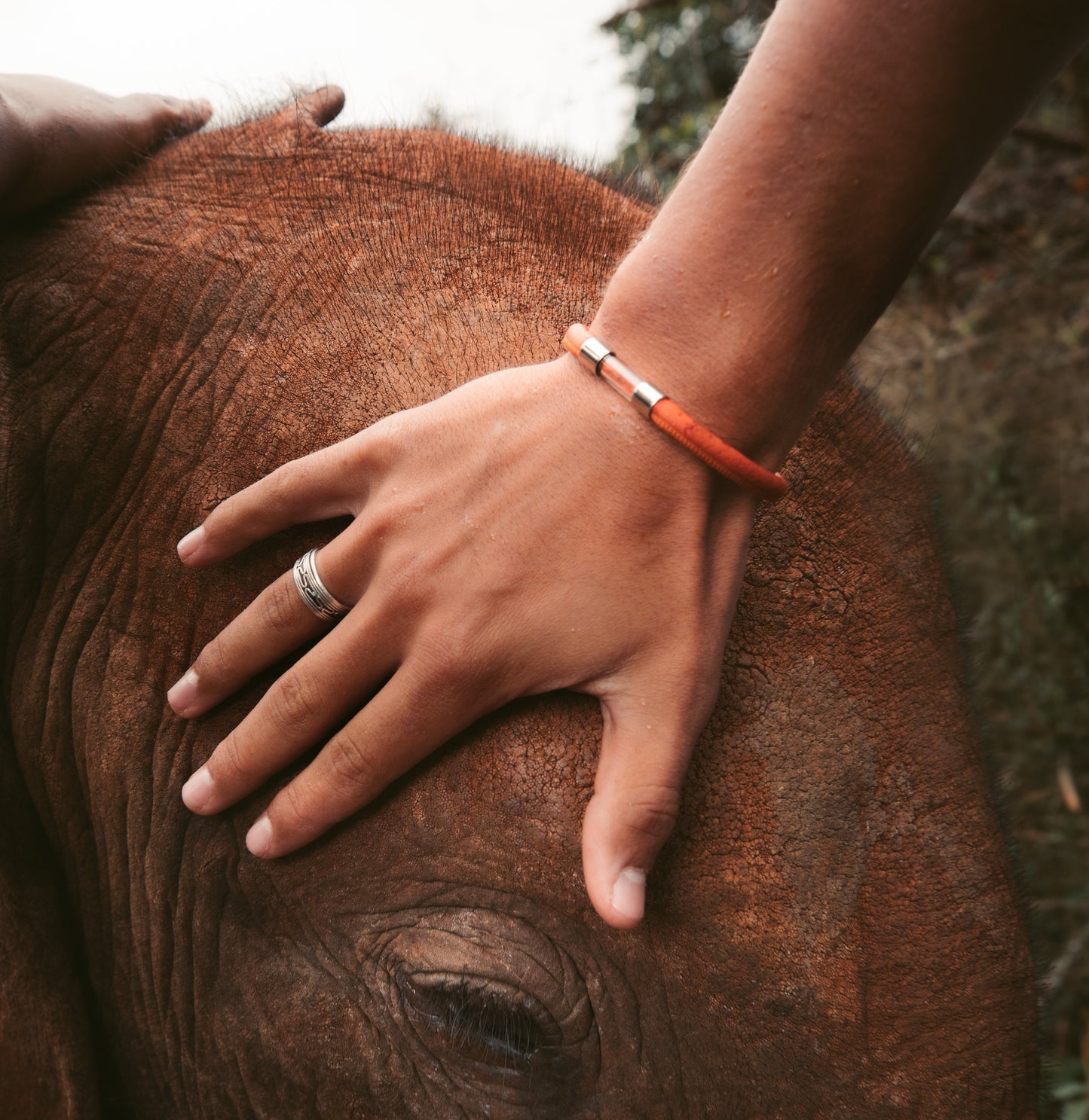 Elephant Legend Bracelet