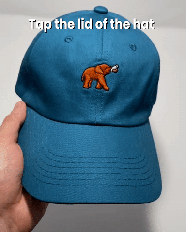 Elephant Hat