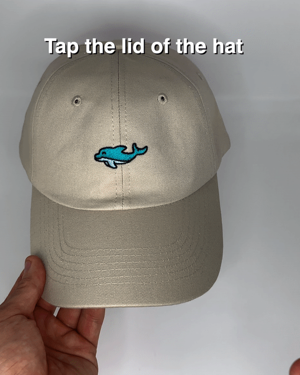 Dolphin Hat