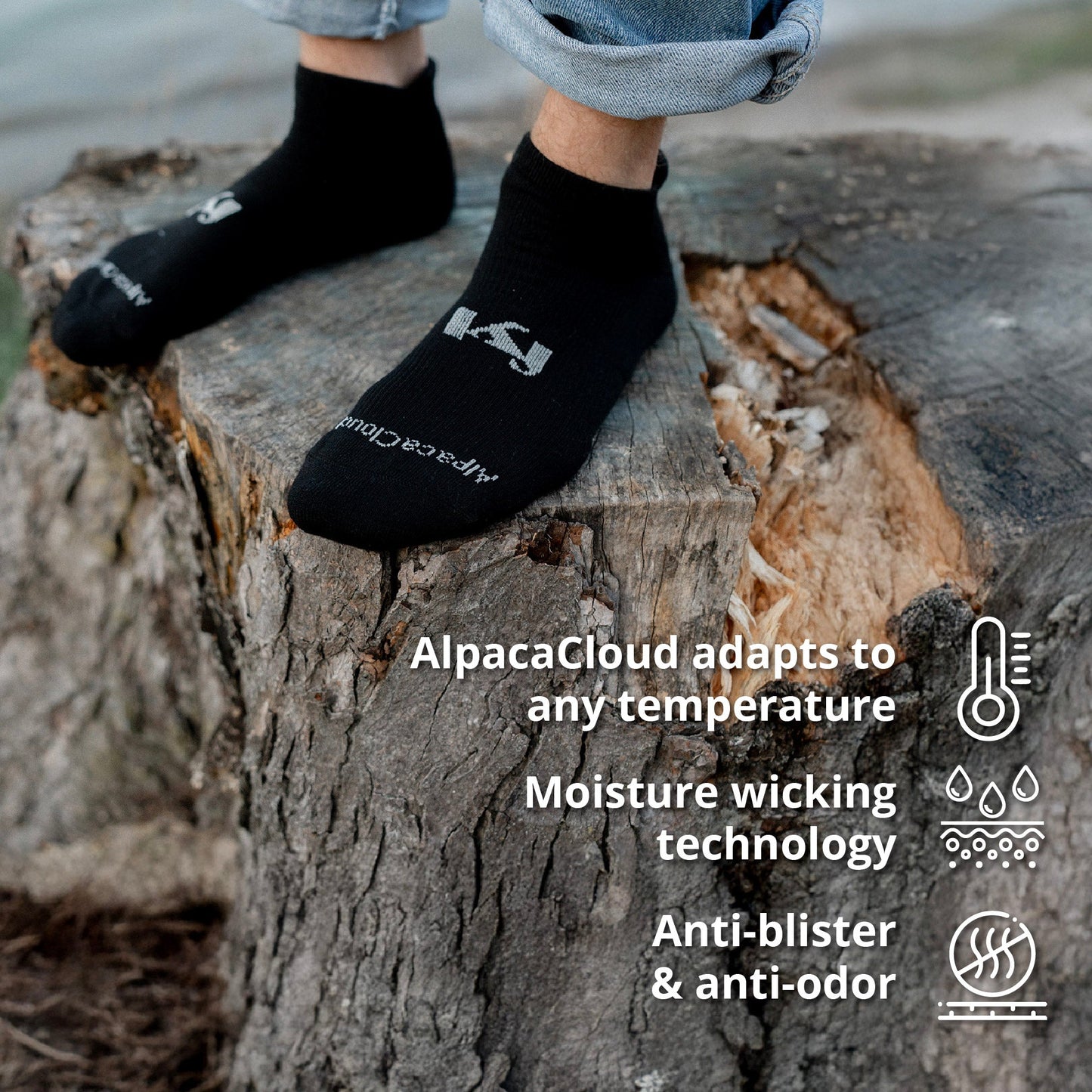 AlpacaCloud® Ankle Socks
