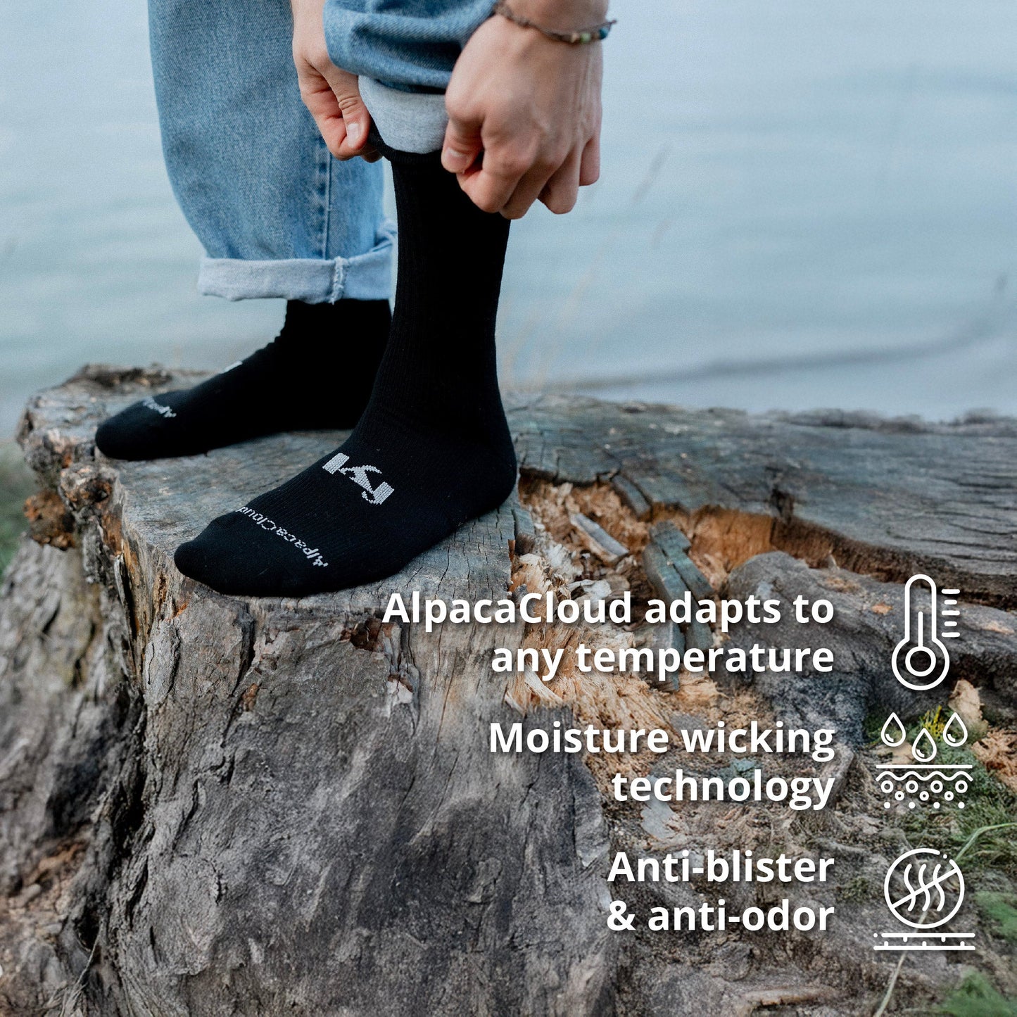 AlpacaCloud® Crew Socks