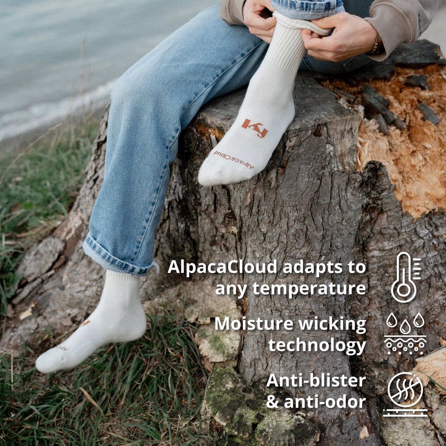 AlpacaCloud® Crew Sock 6 Pack