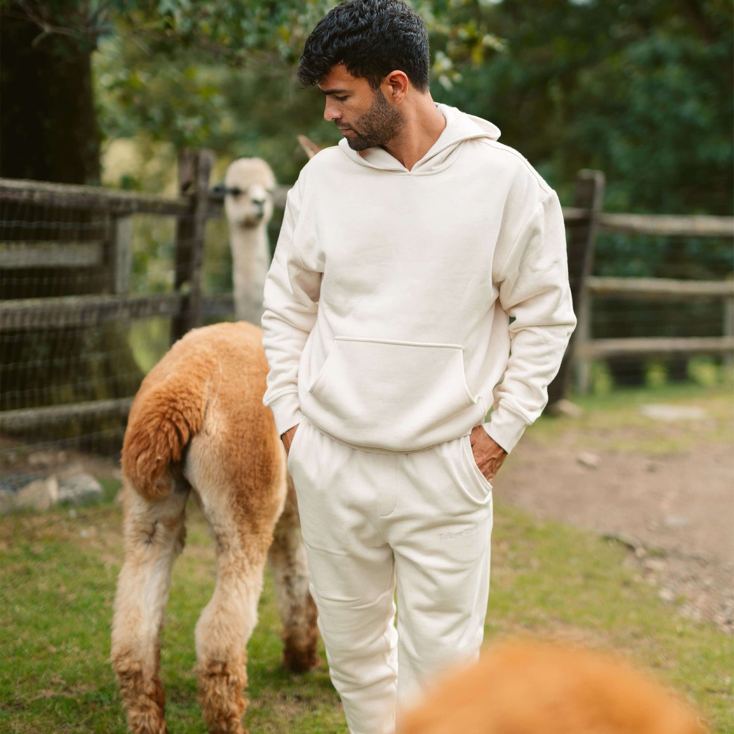 Men's AlpacaCloud® Heavyweight Hoodie
