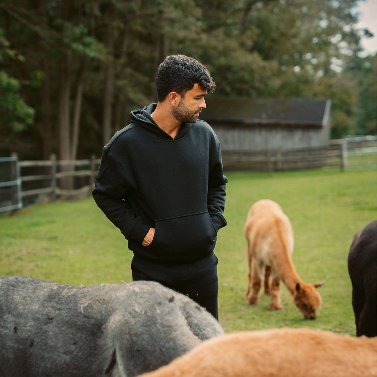 Men's AlpacaCloud® Heavyweight Hoodie