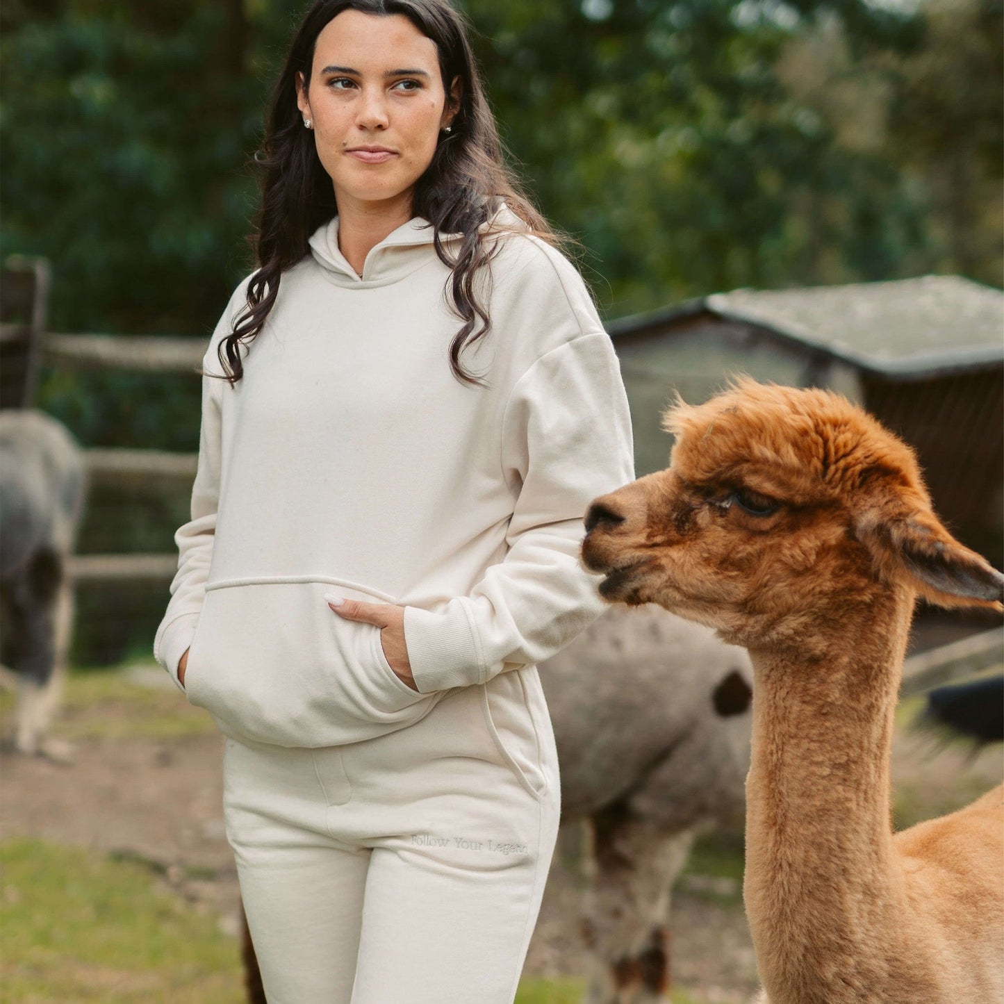Women's AlpacaCloud® Heavyweight Hoodie