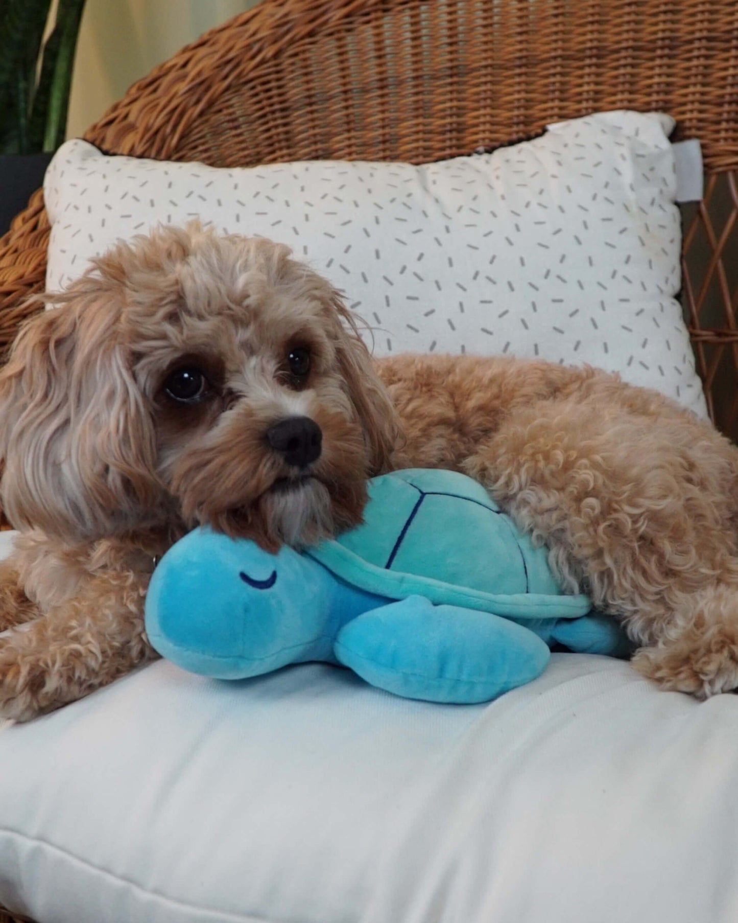 Sea Turtle Plushie