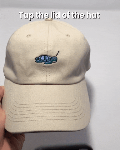 Sea Turtle Hat